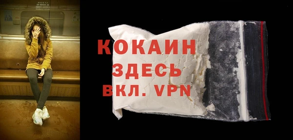 соль ск Алзамай