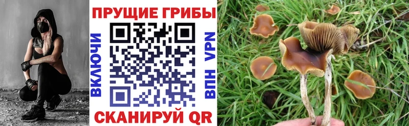 Псилоцибиновые грибы MAGIC MUSHROOMS  Тихвин 